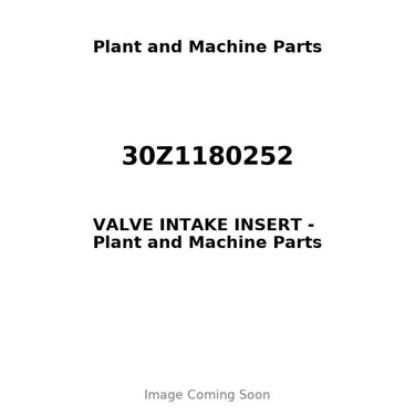 30Z1180252 - VALVE INTAKE INSERT