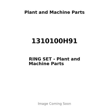 1310100H91 - RING SET