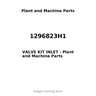 1296823H1 - VALVE KIT INLET