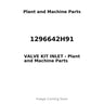 1296642H91 - VALVE KIT INLET