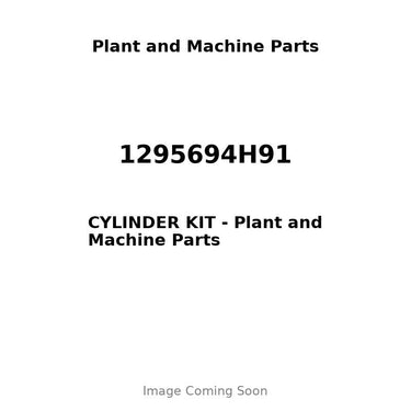 1295694H91 - CYLINDER KIT