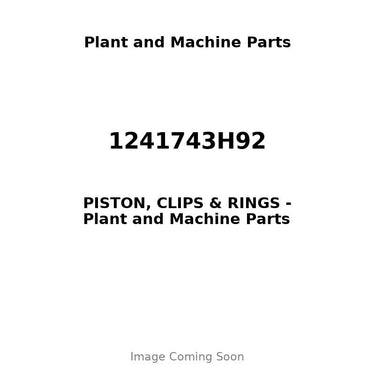 1241743H92 - PISTON, CLIPS & RINGS