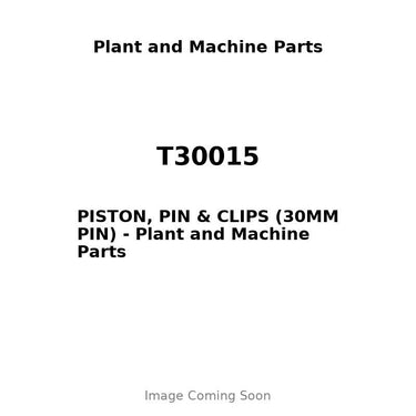 T30015 - PISTON, PIN & CLIPS (30MM PIN)
