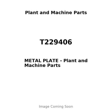 T229406 - METAL PLATE