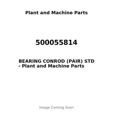 500055814 - BEARING CONROD (PAIR) STD