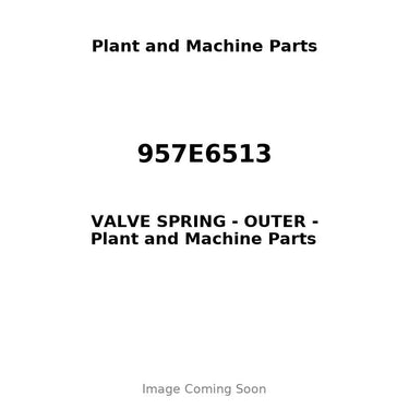 957E6513 - VALVE SPRING - OUTER