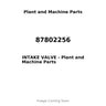 87802256 - INTAKE VALVE
