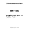 81874132 - RADIATOR CAP