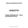 81825779 - WHEEL BEARING KIT