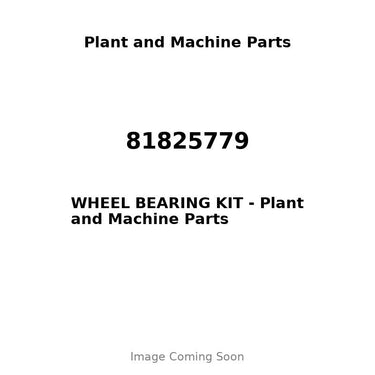 81825779 - WHEEL BEARING KIT