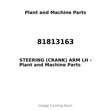81813163 - STEERING (CRANK) ARM LH