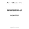 SBA115017581-NR - PISTON, PIN & CLIPS - STD