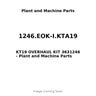 1246.EOK-I.KTA19 - KT19 OVERHAUL KIT 3631246