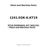 1241.EOK-K.KT19 - KT19 OVERHAUL KIT 3631241