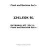 1241.EOK-B1 - OVERHAUL KIT (1241)