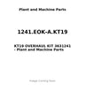 1241.EOK-A.KT19 - KT19 OVERHAUL KIT 3631241