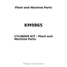 KM9865 - CYLINDER KIT