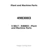 4983003 - V BELT - RIBBED