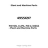 4955697 - PISTON, CLIPS, PIN & RINGS