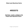 4955573 - PISTON, CLIPS & RINGS STD