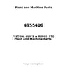 4955416 - PISTON, CLIPS & RINGS STD