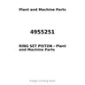 4955251 - RING SET PISTON