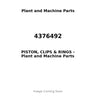 4376492 - PISTON, CLIPS & RINGS