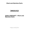 3955152 - GEAR CAMSHAFT
