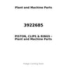 3922685 - PISTON, CLIPS & RINGS