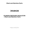 3918428 - PLUNGER PRESSURE REGULATOR