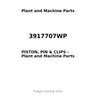 3917707WP - PISTON, PIN & CLIPS