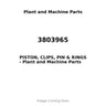 3803965 - PISTON, CLIPS, PIN & RINGS