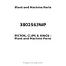 3802563WP - PISTON, CLIPS & RINGS