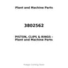 3802562 - PISTON, CLIPS & RINGS