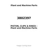 3802397 - PISTON, CLIPS & RINGS