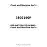 3802160P - KIT-PISTON,STD,W/PIN