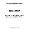 3802104WP - PISTON, CLIPS, PIN & RINGS