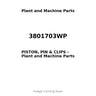 3801703WP - PISTON, PIN & CLIPS