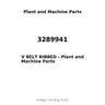 3289941 - V BELT RIBBED