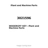 3021596 - WOODRUFF KEY