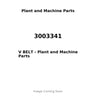 3003341 - V BELT