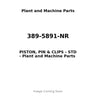 389-5891-NR - PISTON, PIN & CLIPS - STD