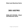 385-1657RS - RING SET PISTON