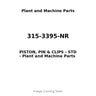 315-3395-NR - PISTON, PIN & CLIPS - STD