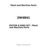 2W4841 - PISTON & RING SET