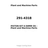 291-4318 - PISTON KIT 0.50MM OS