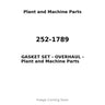 252-1789 - GASKET SET - OVERHAUL