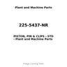 225-5437-NR - PISTON, PIN & CLIPS - STD