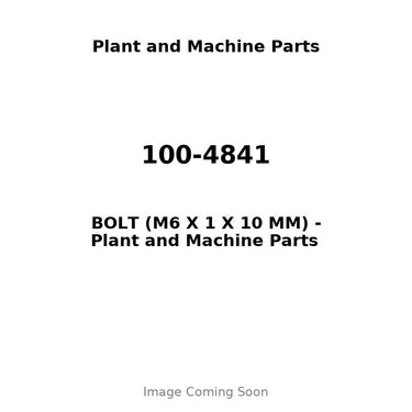100-4841 - BOLT (M6 X 1 X 10 MM)