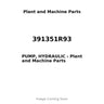 391351R93 - PUMP, HYDRAULIC